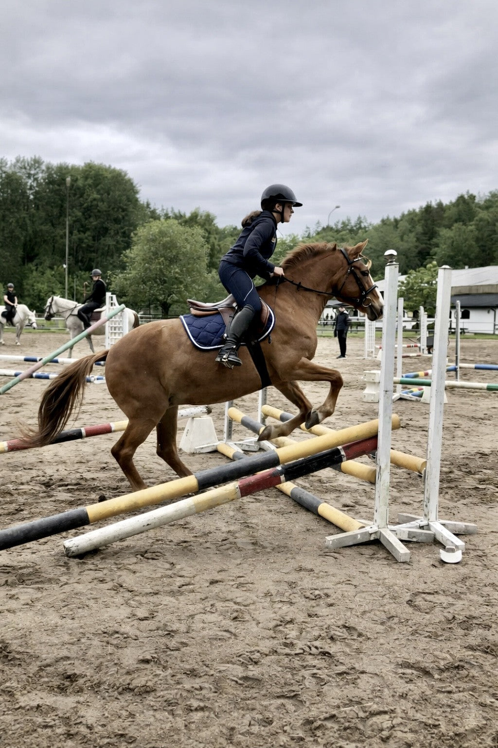 Häst & Ryttare